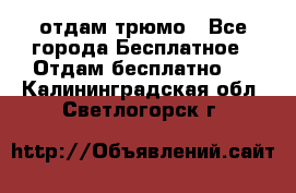 отдам трюмо - Все города Бесплатное » Отдам бесплатно   . Калининградская обл.,Светлогорск г.